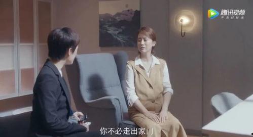 孙俪爆料安家视频播放全集,视频播放全集背后的故事  第1张