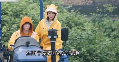 陈赫爆料自己视频大全下载,视频大全下载背后的故事  第3张